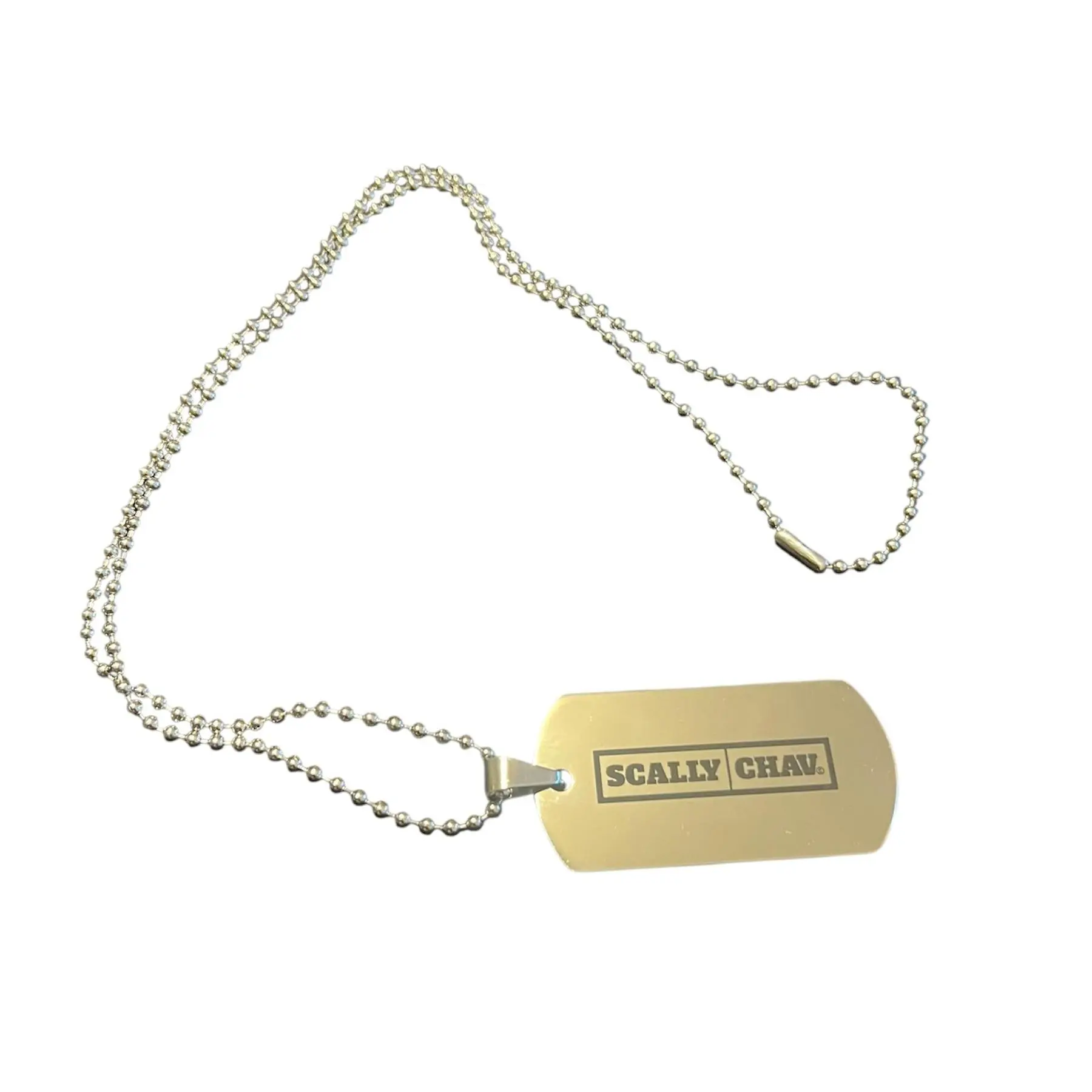 Dog Tag and Chain