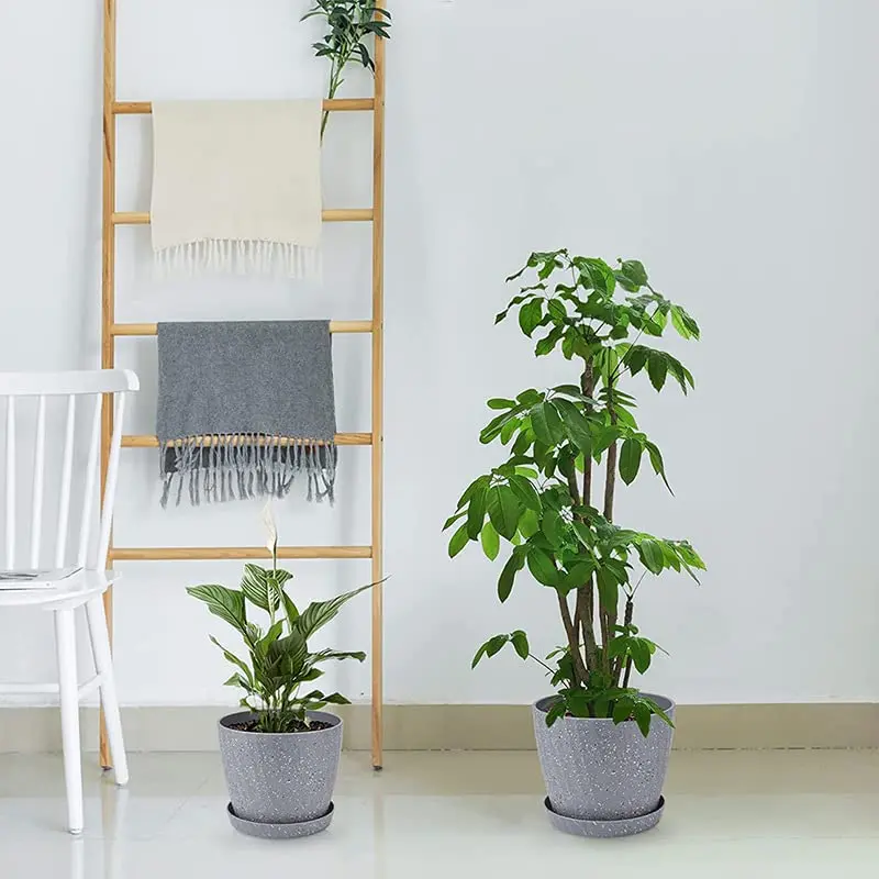 Plant Pots Indoor, 6Pack Plastic Plant Pots 19/17.5/16.5/15.5/14/11.5cm, Flower Pots Outdoor Self Watering Indoor Plant Pot with Drainage Holes and Tray, Plastic Planter for Garden House Plants(Grey) 3