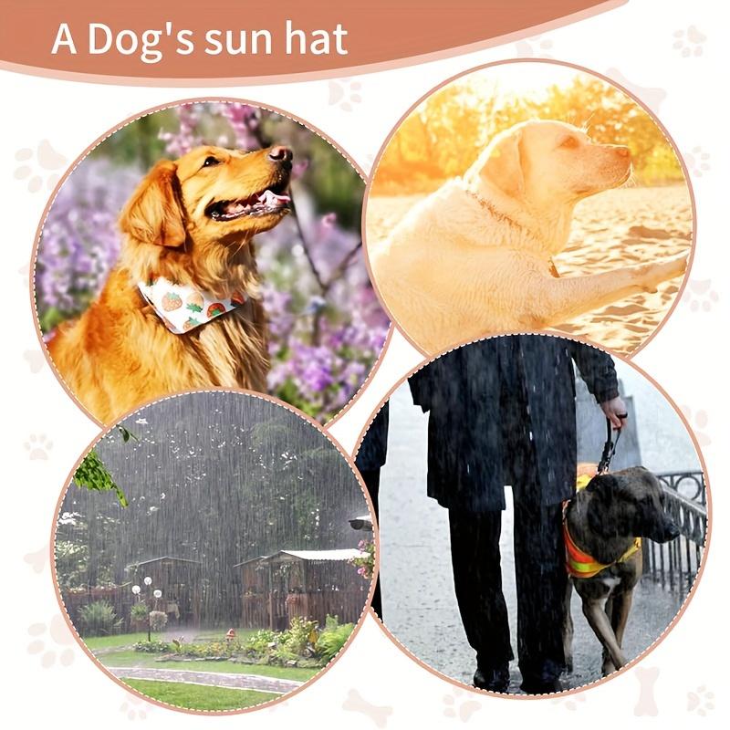 Product Introduction of Small, Medium, and Large Breeds Adjustable PVC Waterproof Dog Sun Hat with Elastic Strap - Non-Textile Outdoor Visor for UV Protection 3