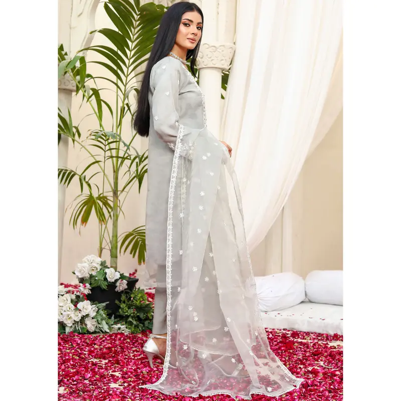 KLD1016 Aera - Readymade Organza Suit 1