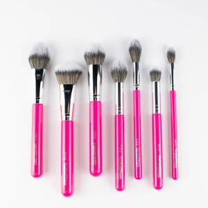 NEW Essential Face Makeup Brush Set in pink