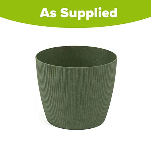 Magnolia Eco Wood 14cm Green 1