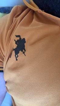 Product Review of Men's Regular Fit Cartoon Horse Print Polo Shirt, Casual Short Sleeve Button Front Top for Summer, Fashion Men's Clothes for Daily Wear from A**r 0