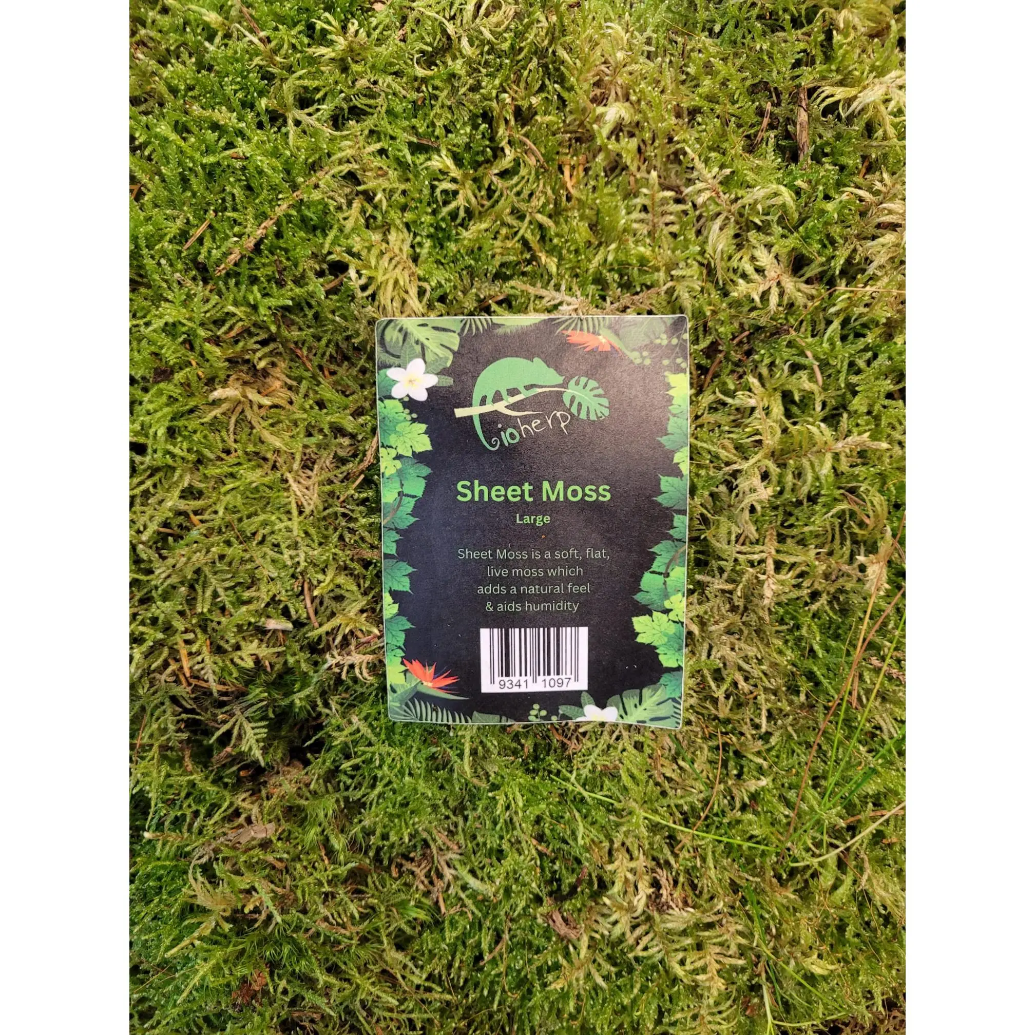BioHerp Sheet Moss