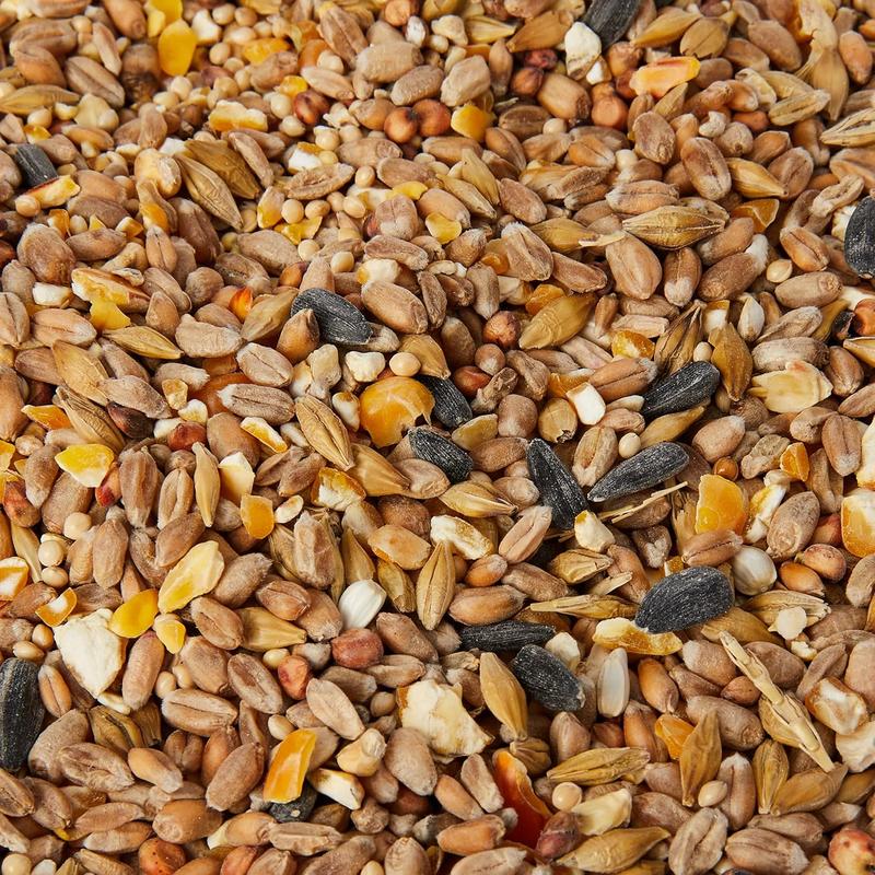Extra Select Seed Mix Wild Bird Food, 5 Litre (Package may vary) 2
