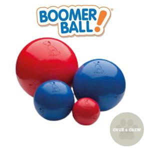 Boomer Ball - Durable Plastic Ball for Dogs - Available in 4 Sizes