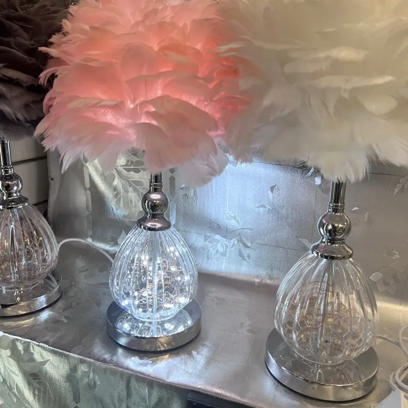 Lushhub Accent Feather Table Lamp 2