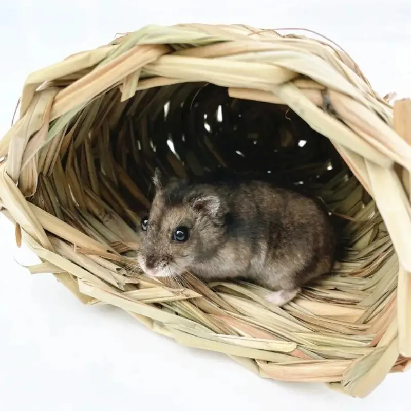 Hamster Avoiding Grass Nest, Grass House Grinding Teeth, Hand Woven Small Pet Grass Nest, Hamster Nest, Parrot Bird Toy 1