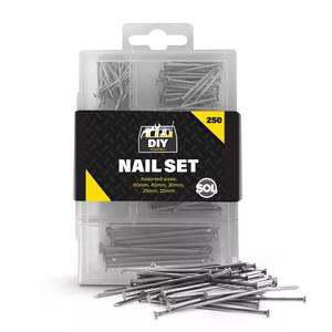 250 Assorted Flat Head Wood Nails Various DIY Carpentry Professional Metal Pins