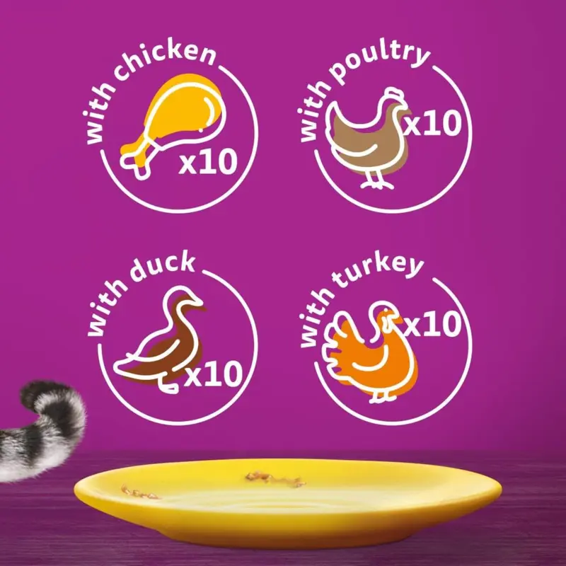 WHISKAS - 1+ Adult Wet Cat Food Pouches - 40 x 85 g - Poultry Selection - Bulk Cat Food Megapack - 40 Jelly Pouches 5