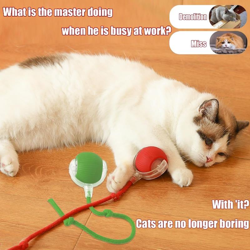 Newly Designed 360° Interactive Electric Rolling Mobile Rechargeable Self-play Stimulating Toy, Pet Chase Ball with Fast Tail Rope, Suitable for Indoor Cat, Small Dog Toy 7