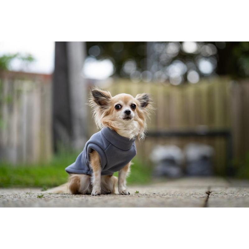 Dachshund Fleece Powder Blue 4