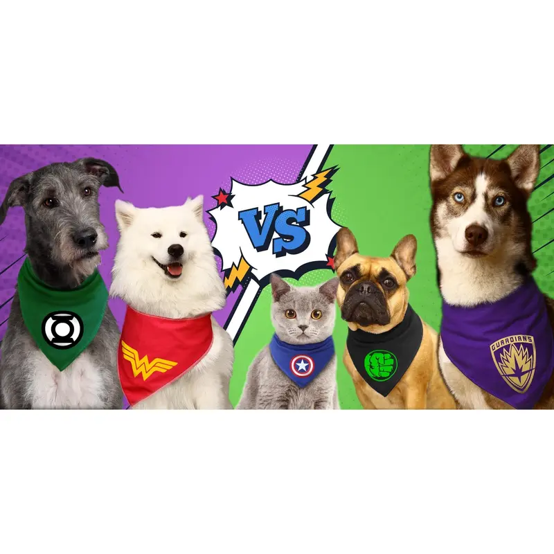 Pawkeye Dog Bandana 1