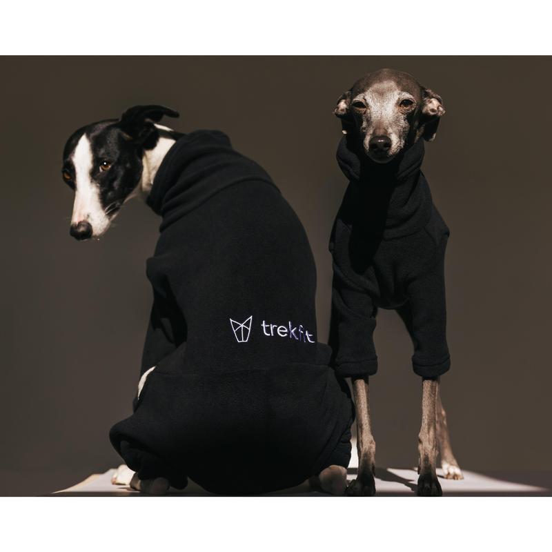 Italian Greyhound & Whippet Fleece Liquorice 1