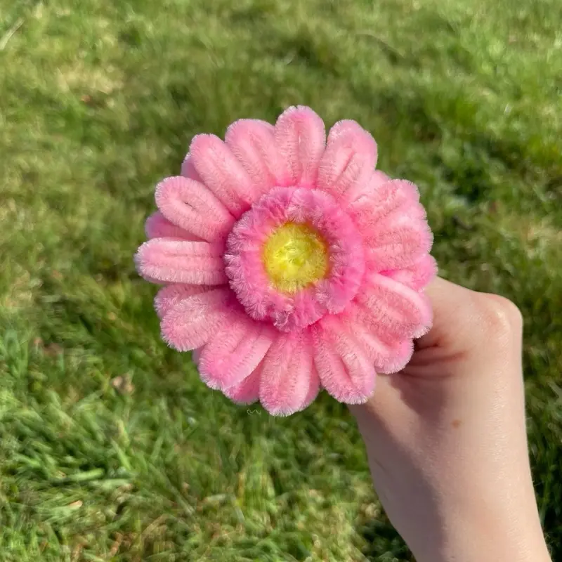 GERBERA DAISY (SINGULAR)