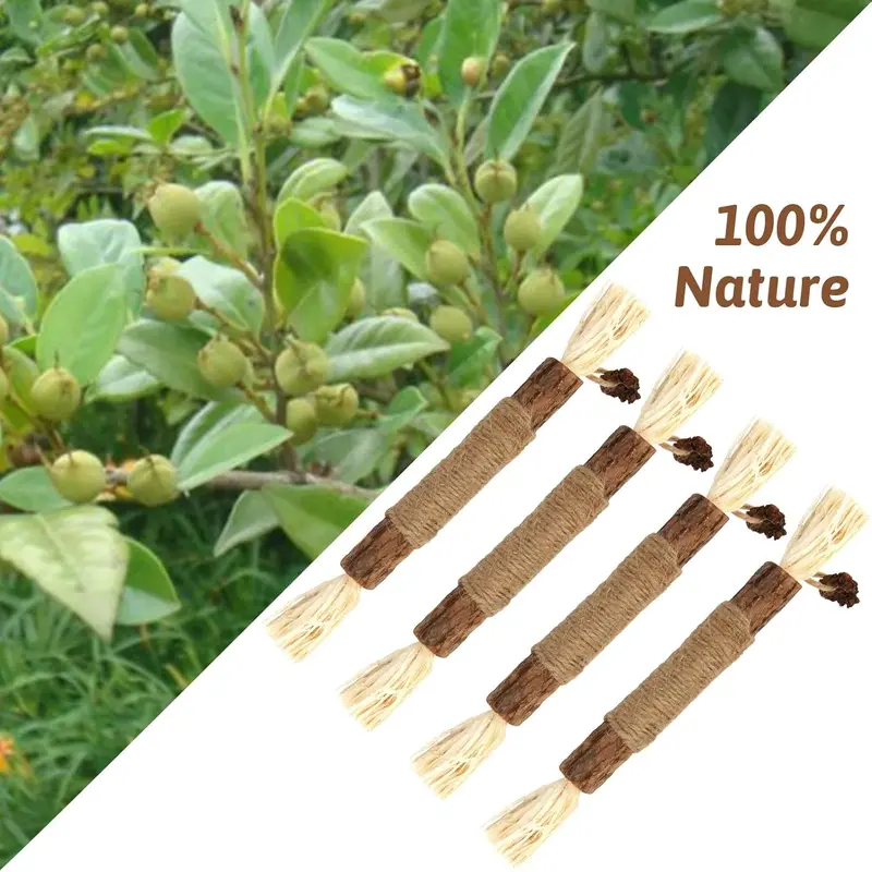 Silvervine Chew Sticks,Kitten Toys Natural Cat Teeth Nip Cleaning Teeth Chew Catnip Toys for Indoor Cat Cleaning Kitten Stress Release 4