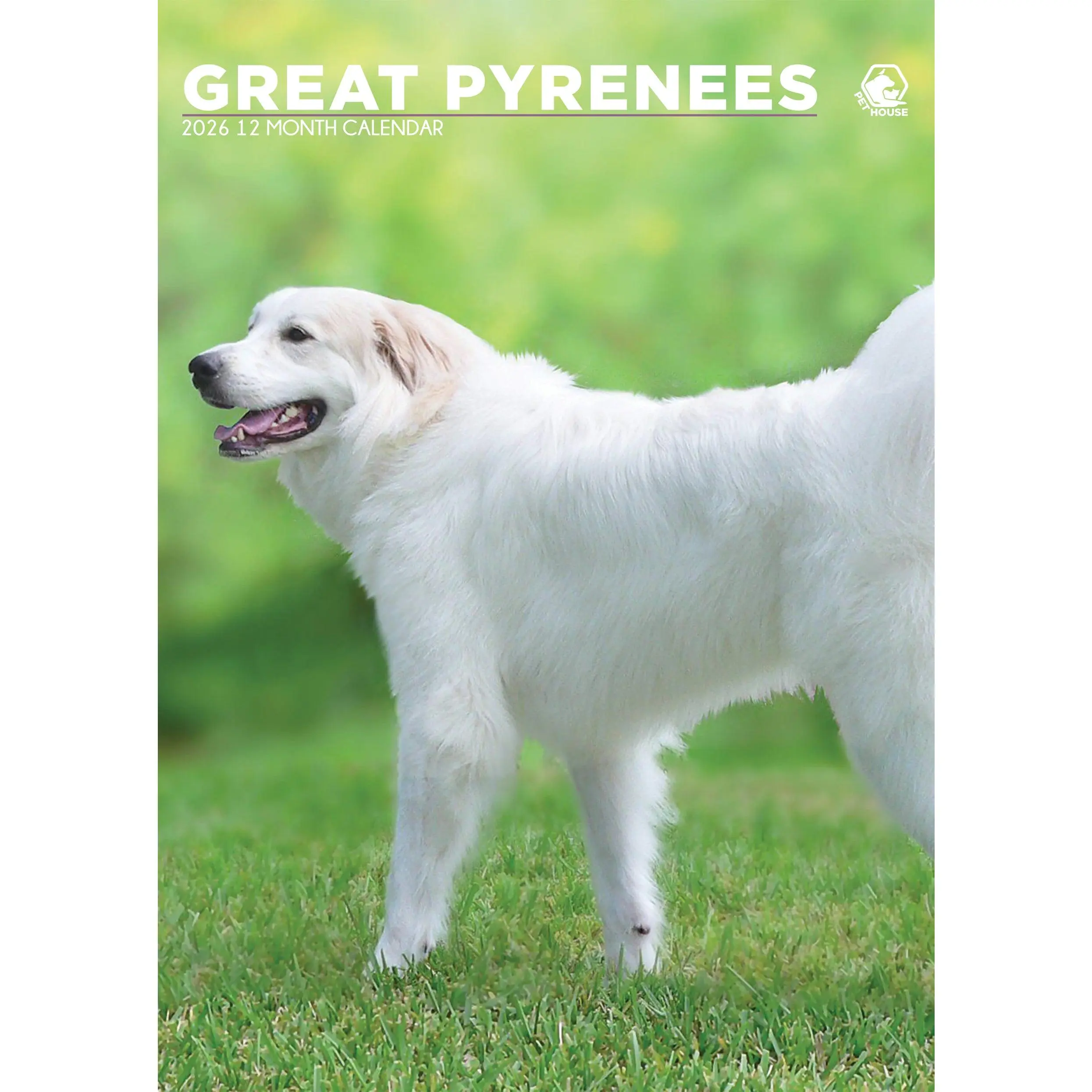 Great Pyrenees Calendar 2026 – A Year with the Gentle Giants of the Dog World