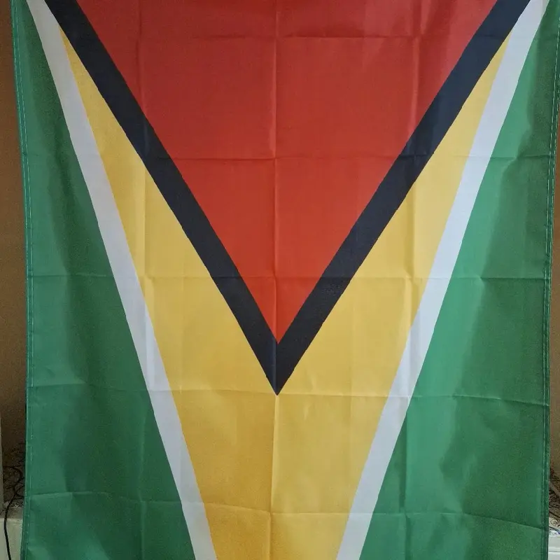National Flag of Guyana - Perfect for Banners 8