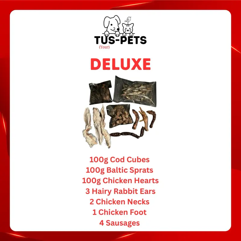 Cat Treat Bundle - Perfect for Your Feline Friend 3