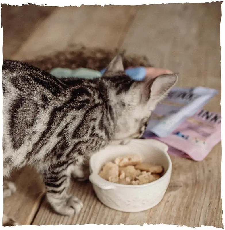 40 x 85g Blink Premium Wet Kitten Food Chicken & Fish Selection in Jelly 4