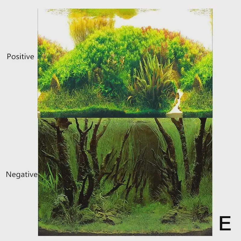 Aquarium Background Decoration Sticker Fish Tank Landscape Sticker Background for Aquarium Ocean Plant Aquascape Painting 7