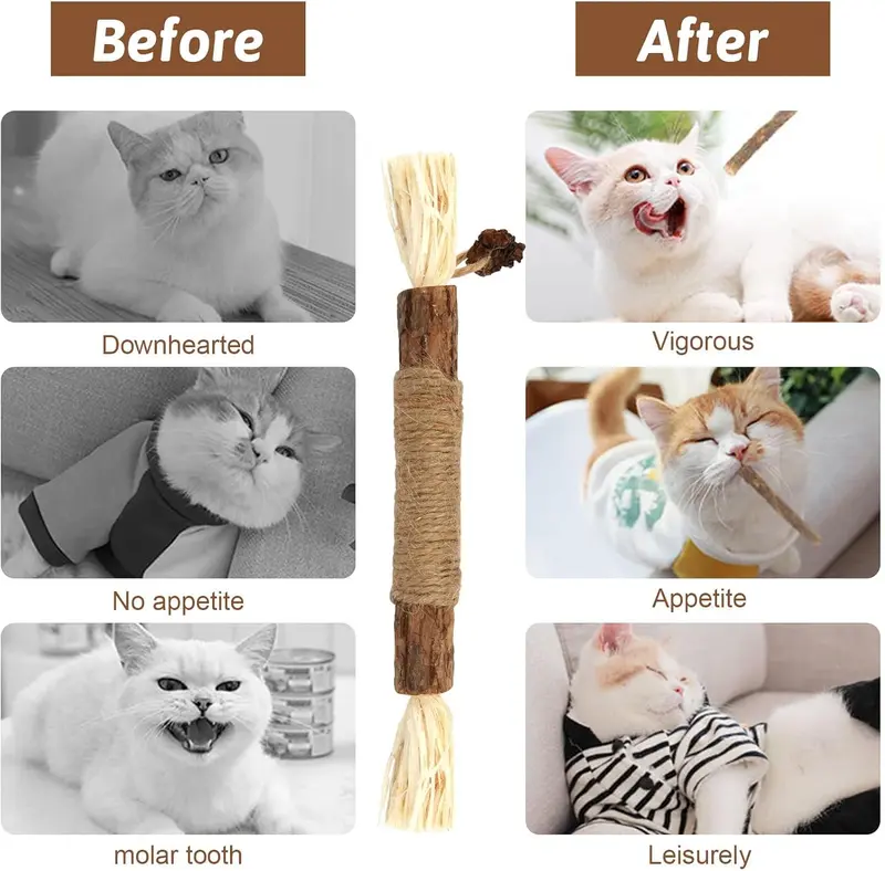 Silvervine Chew Sticks,Kitten Toys Natural Cat Teeth Nip Cleaning Teeth Chew Catnip Toys for Indoor Cat Cleaning Kitten Stress Release 3
