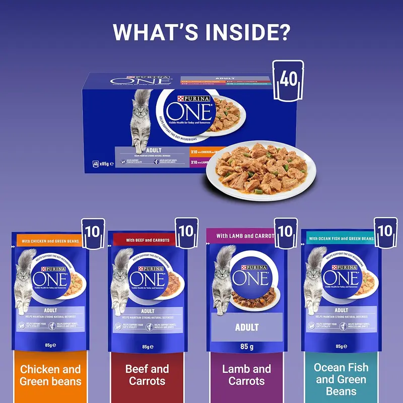 PURINA ONE Mini Fillets Mixed Selection in Gravy Wet Cat Food 40x85g 4