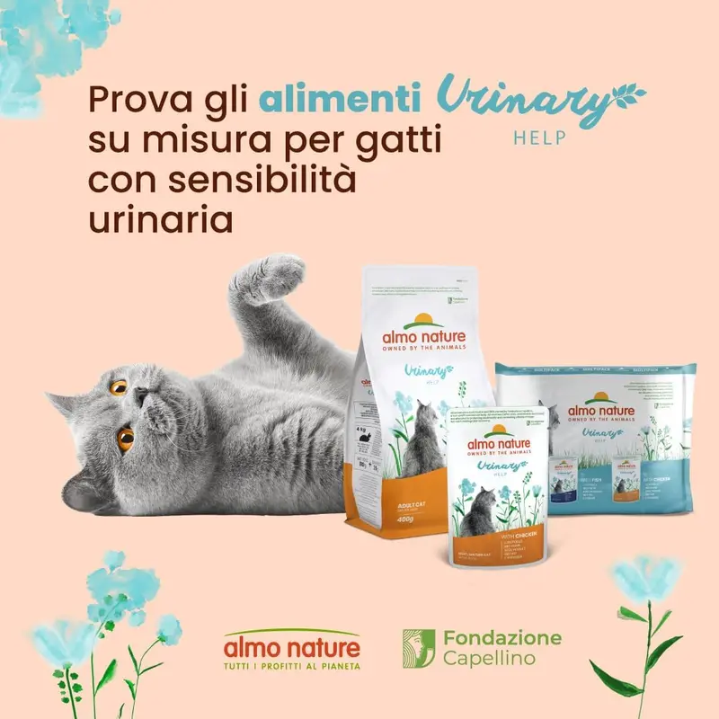 Almo Nature Functional Urinary Help Multipack Complete Wet Cat Food -3 pouches with Fish/3 pouches with Chicken, (pack of 6 pouches x70g), With Fish - With... 4