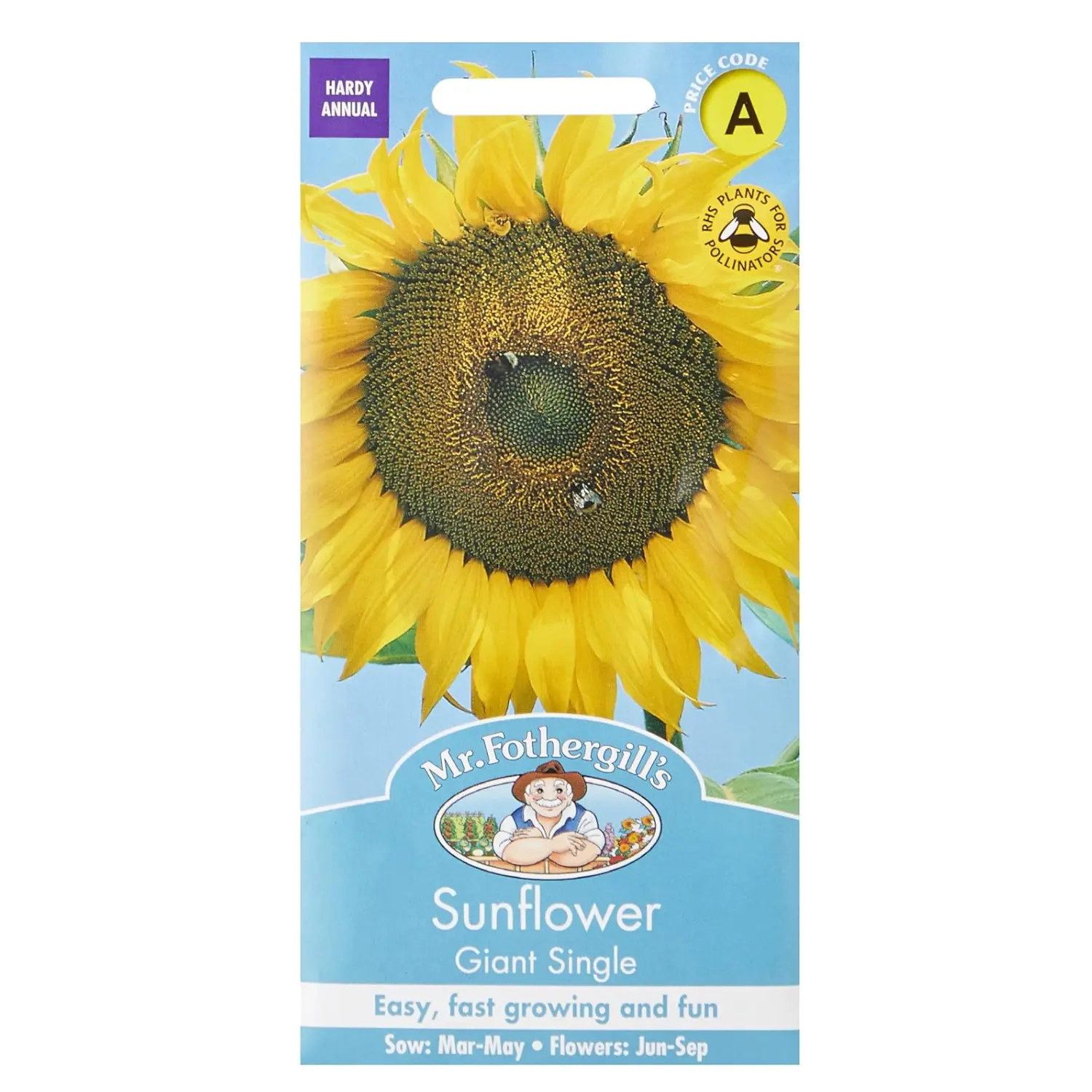 16054 Flower Seeds, Sunflower Giant Single