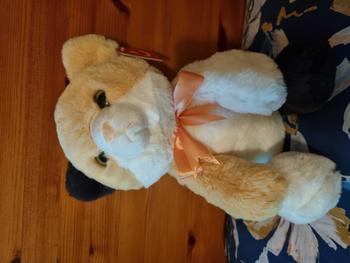 Product Review of Super Soft Eco Flopsie Plush Collection from K**y 0