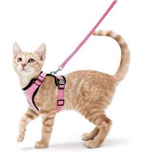 2pcs Adjustable Reflective Mesh Cat Harness & Solid Color Cat Lead, Pet Outdoor Supply For Small Cat