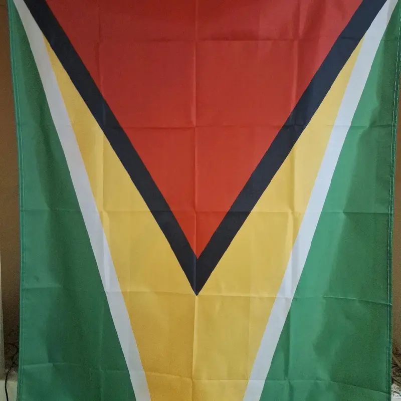 National Flag of Guyana - Perfect for Banners 7