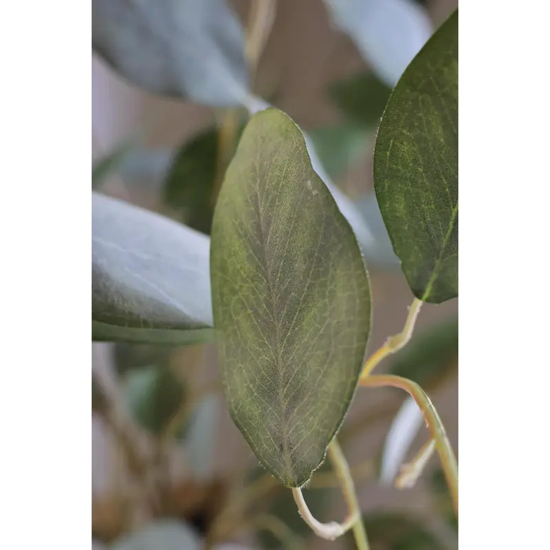 Faux Eucalyptus Populus 6