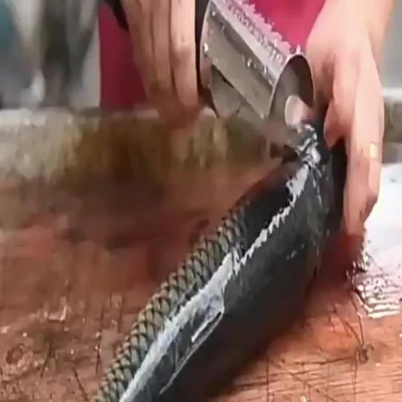 Portable Electric Fish Scaler - Stainless Steel, USB Rechargeable, Efficient Fish Scale Remover for Seafood, Kitchen Essentials | Modern Kitchen Tool | Durable Kitchen Utensil 8