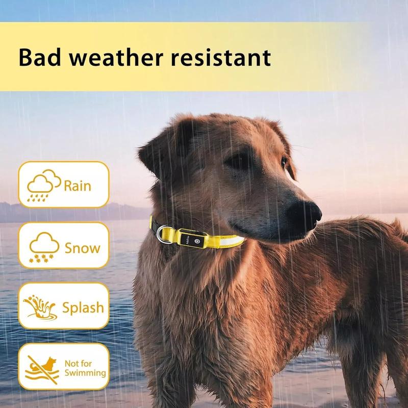 USB Rechargeable LED Dog Collar – Light-Up Safety Night Collar for Pets, Flashing Modes, Green (Medium) 4