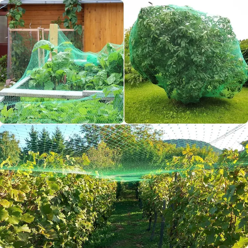 Garden Netting, Plant, Veg, Fruit and Ponds Protection, Cat and Bird Proof Garden Net, Versatile Fine Mesh Garden Netting, Garden Fence Netting, Garden Accessories - (1, 2X10) 3