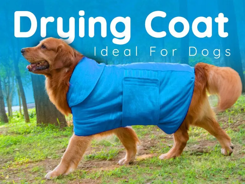 Dog Bathrobe Towel Microfibre Bath Robe Pet Super Absorbent Drying Coat large 2