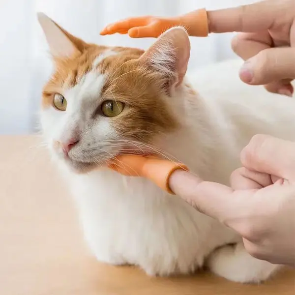 Finger Hand - Comfortable Cat Massage Tool - Mini Pet Toy 1