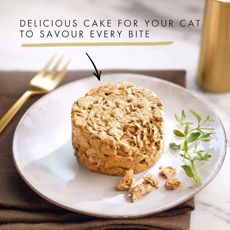 Gourmet Chicken Wet Cat Food 85g x12 – Savoury Cake for Adult Cats, Immune Support & Fresh Meals 3