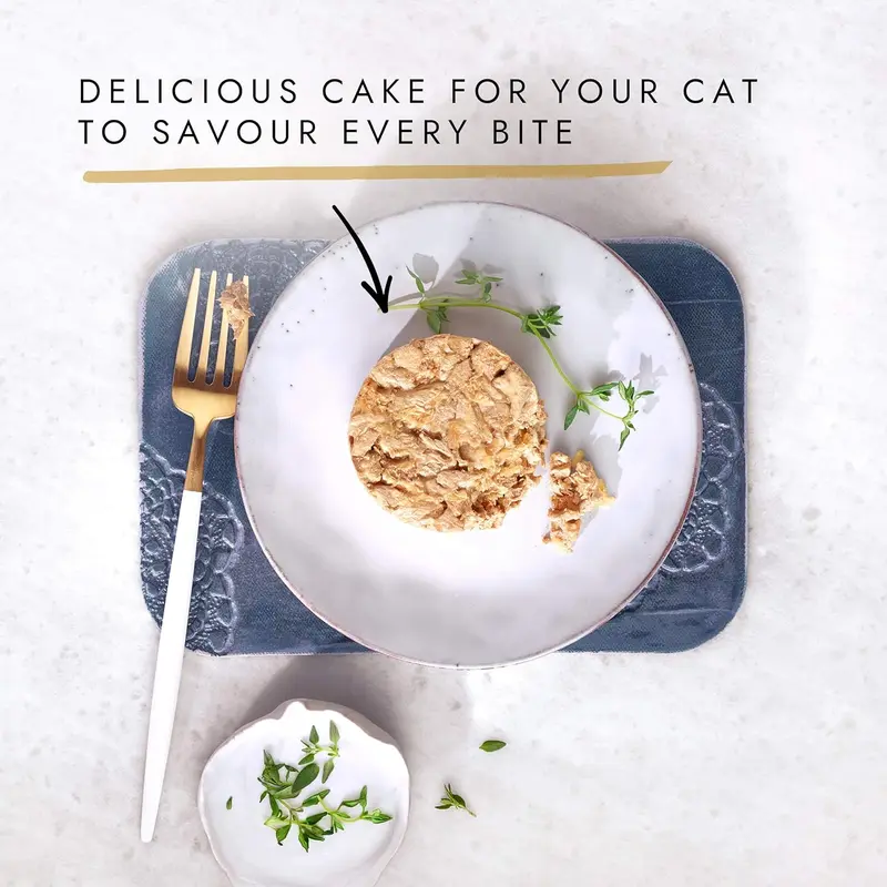 Gourmet Chicken Wet Cat Food 85g x12 – Savoury Cake for Adult Cats, Immune Support & Fresh Meals 2