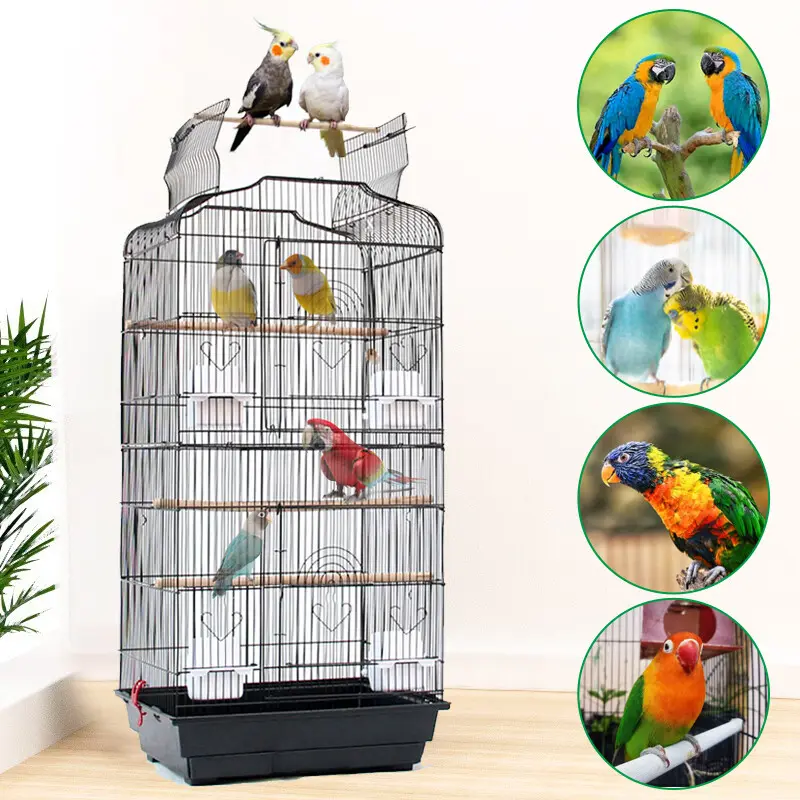 Budgie Cage Metal Parrot Bird Cage Open Top Bird Aviary for Cockatiels Canaries- 1