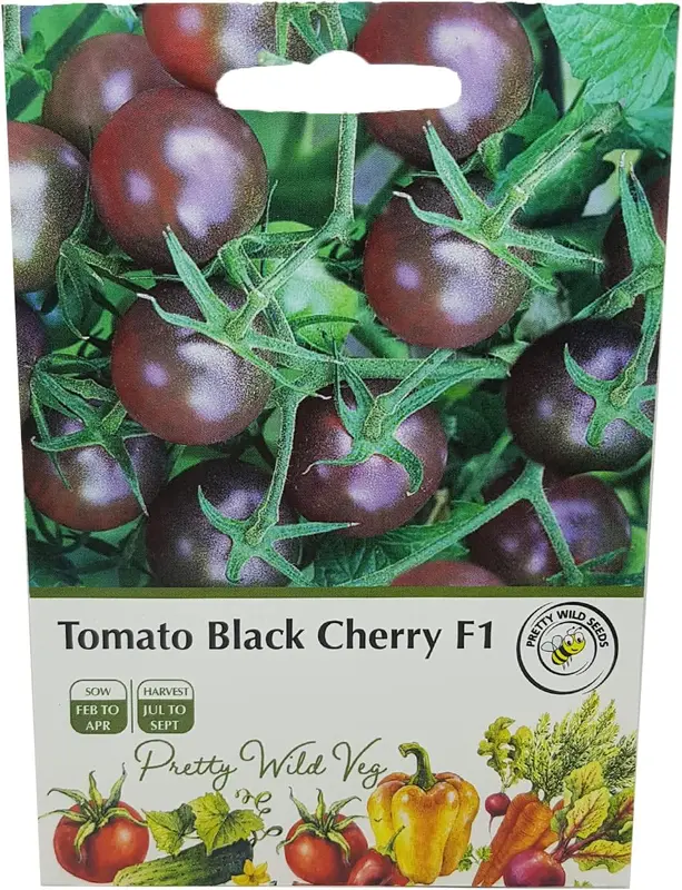 Tomato Black Cherry Seeds – High-Yield Variety with Rich Flavour – Pictorial Packet from UK Seller 0