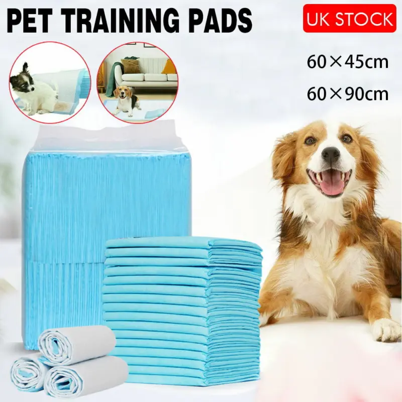 Large Puppy Training Trainer Train Pads Toilet Pee Wee Poo Dog Pet Cat Mats 0