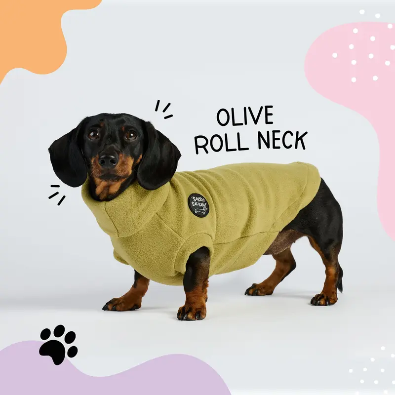 Dachshund Essentials Rollneck Jumper - Dachshund Jumper - Sausage Dog Rollneck Jumper 2