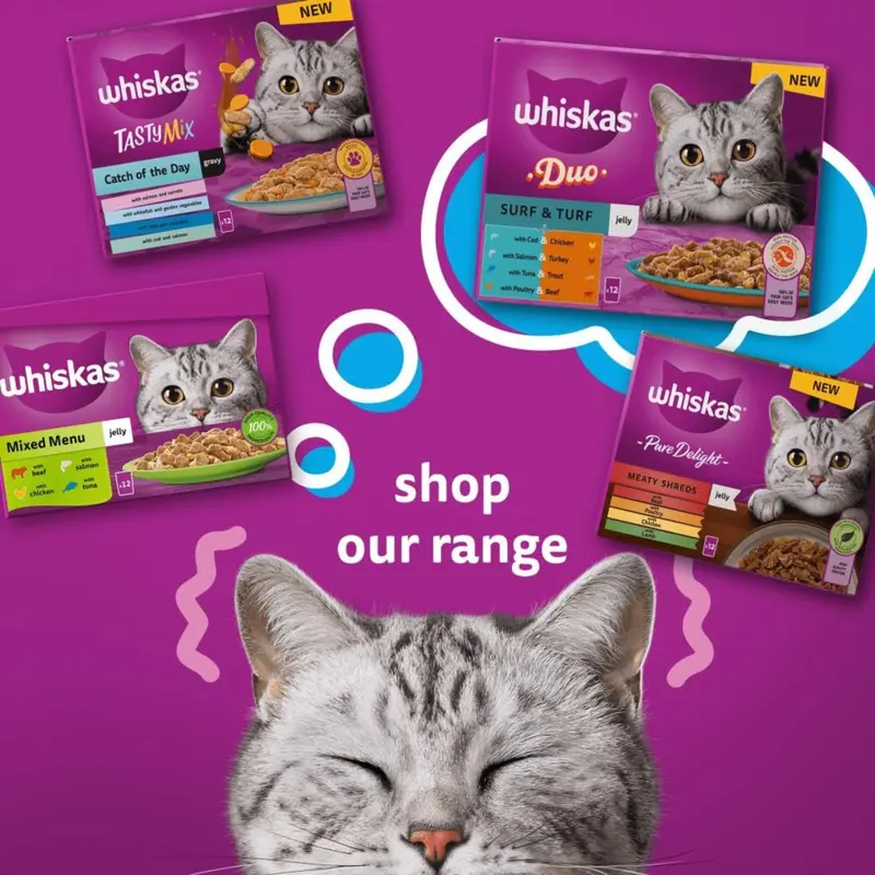 WHISKAS - 1+ Adult Wet Cat Food Pouches - 40 x 85 g - Poultry Selection - Bulk Cat Food Megapack - 40 Jelly Pouches 7