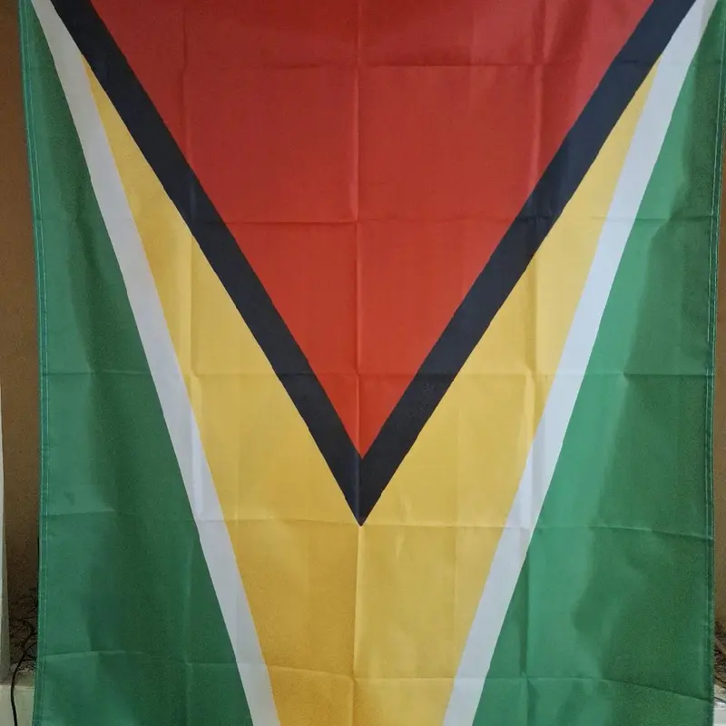 National Flag of Guyana - Perfect for Banners 3