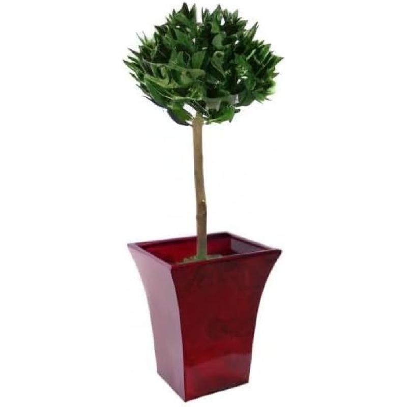 Pair of Artificial Bay Topiary Ball Trees, Green, 90cm (3ft) 6