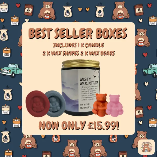 Best Seller Box includes Mystery candles and wax melts Handmade by Bear Burners Scented Soy wax Candle Vegan Cruelty Free 0