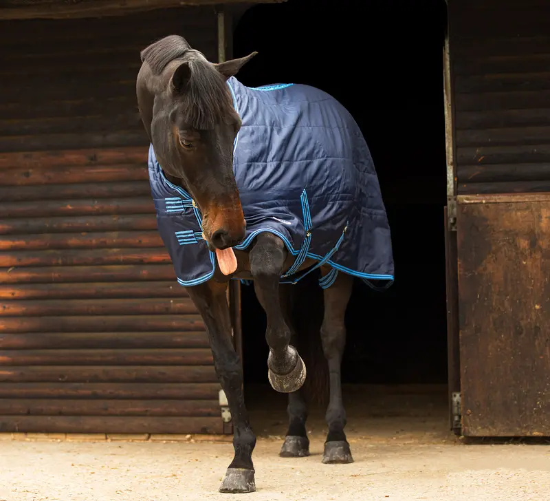 Zambezi 100g Standard Neck Stable Rug 1