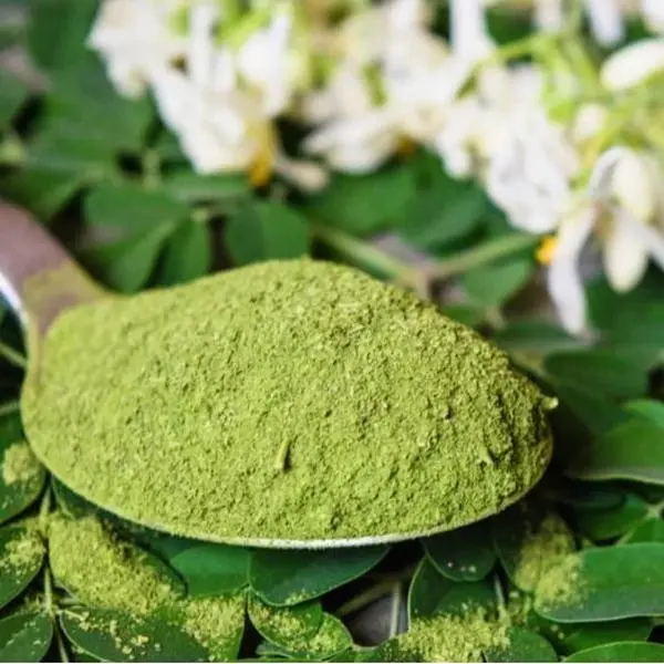 Moringa Powder